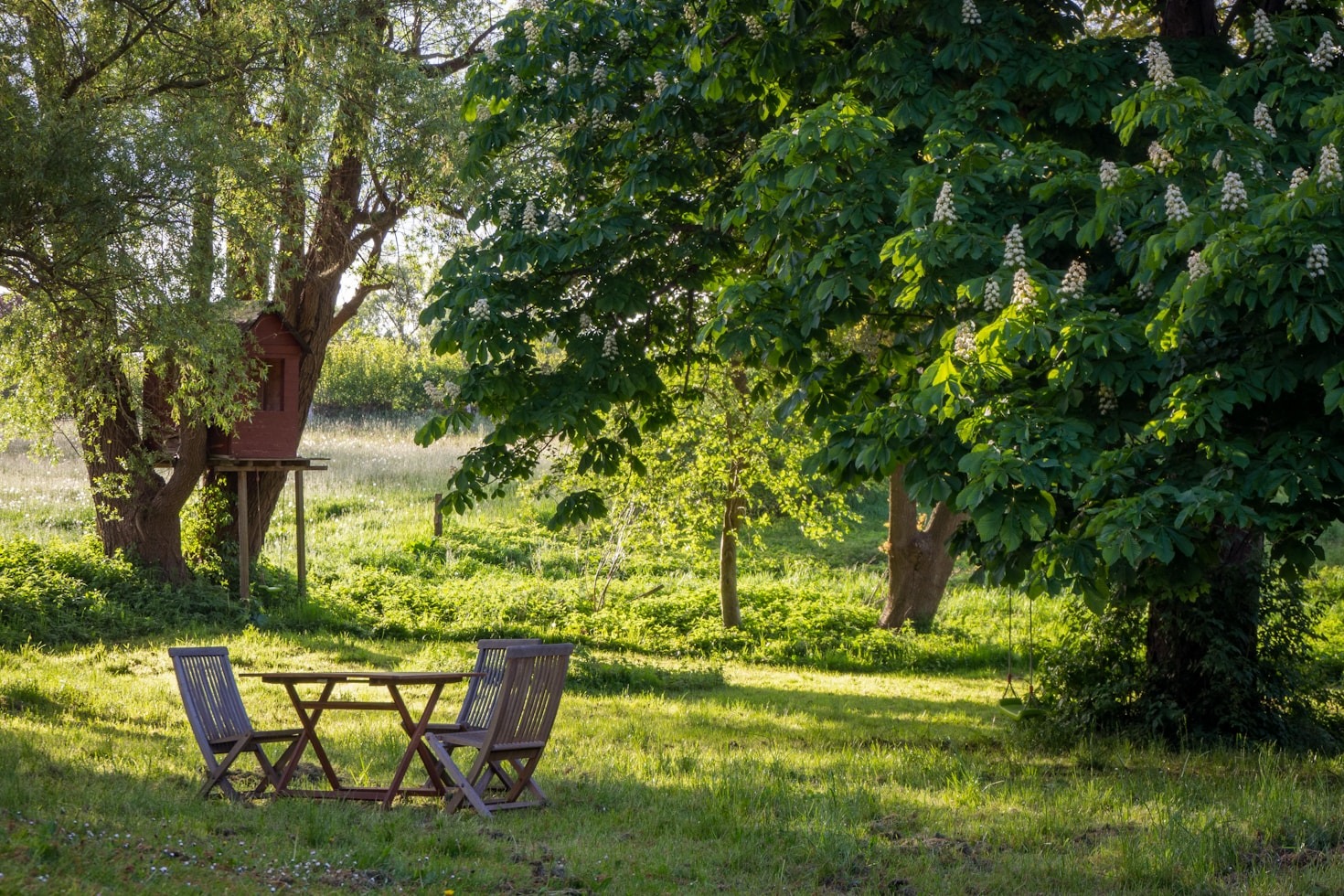 De voordelen van een natuurlijk paddock paradise